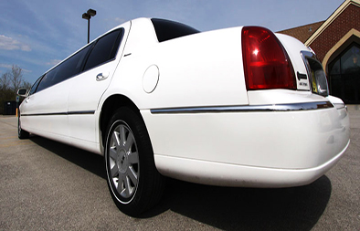 American Charter Limousine